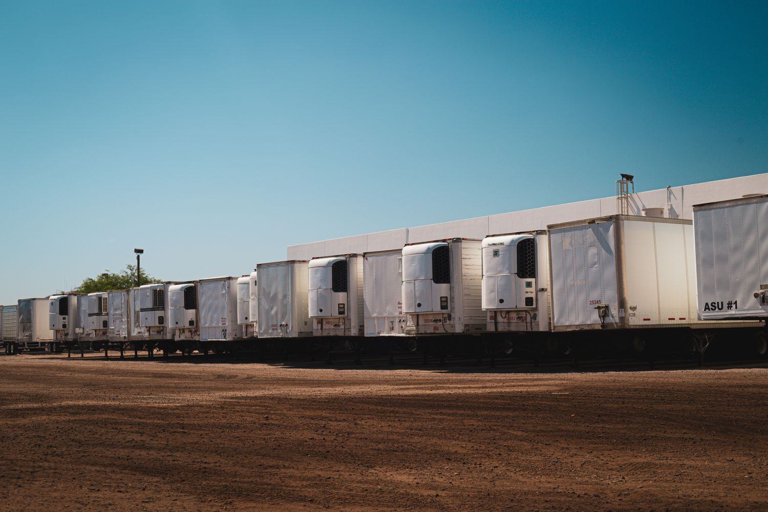 A line of refrigerated trailers with reefer units running at a cold storage yard